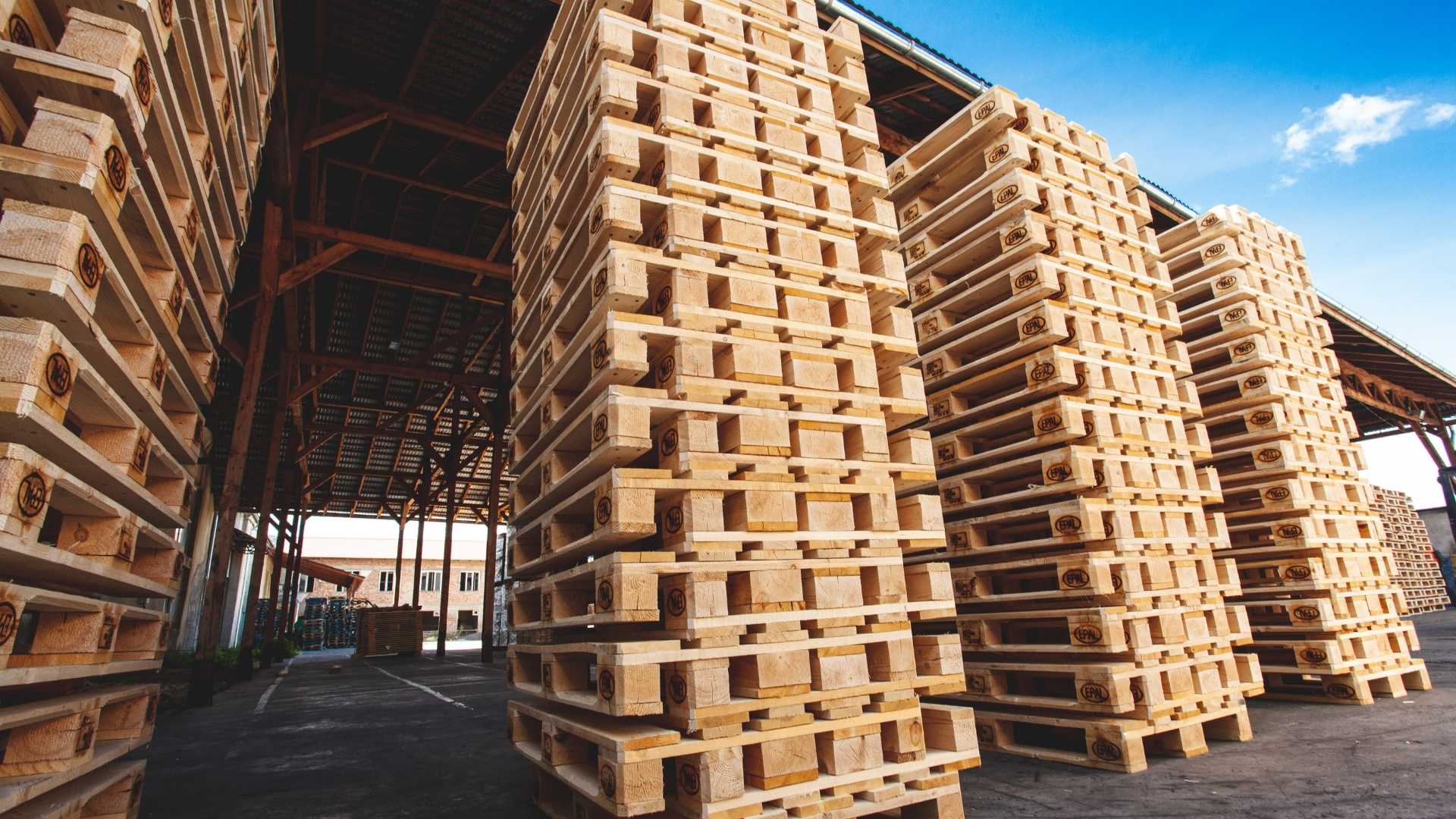 Stosy drewnianych palet euro przygotowanych do transportu w magazynie – element niezbędny w transporcie paletowym i stosowaniu przekładek tekturowych na palety.